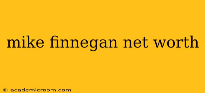 mike finnegan net worth