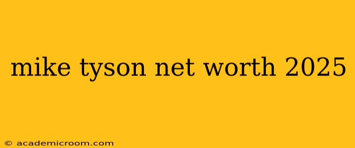mike tyson net worth 2025