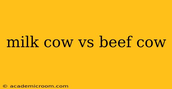 milk cow vs beef cow
