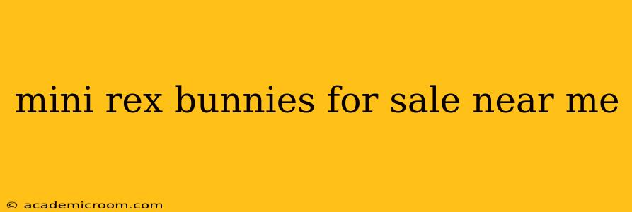 mini rex bunnies for sale near me