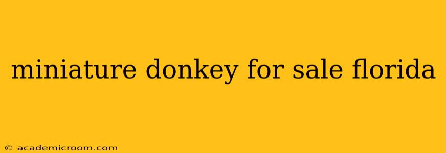 miniature donkey for sale florida