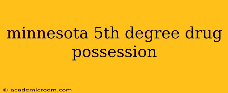 minnesota 5th degree drug possession