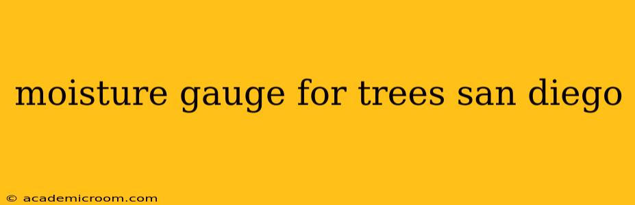 moisture gauge for trees san diego