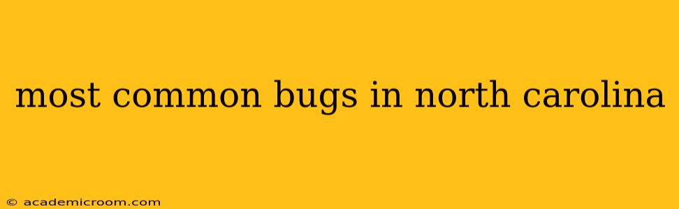 most common bugs in north carolina