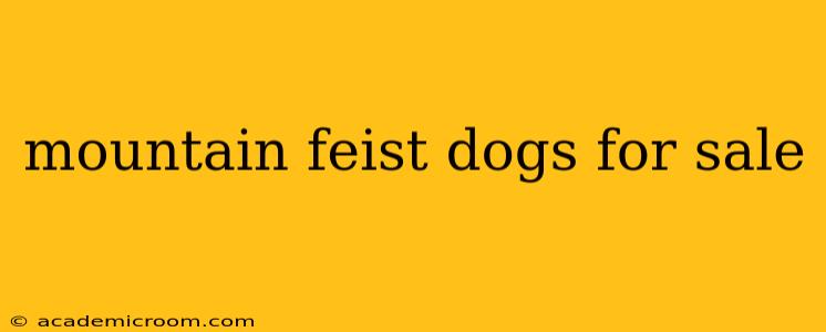 mountain feist dogs for sale