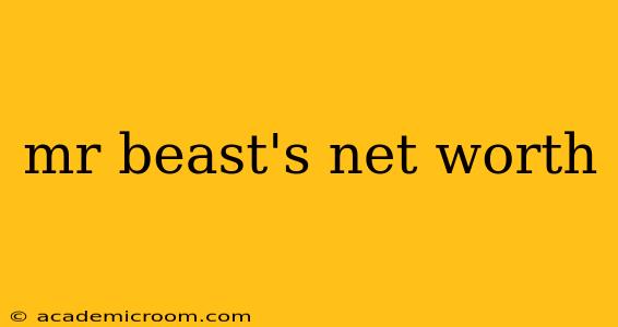mr beast's net worth