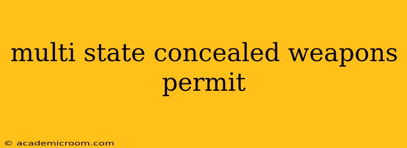multi state concealed weapons permit