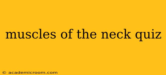muscles of the neck quiz