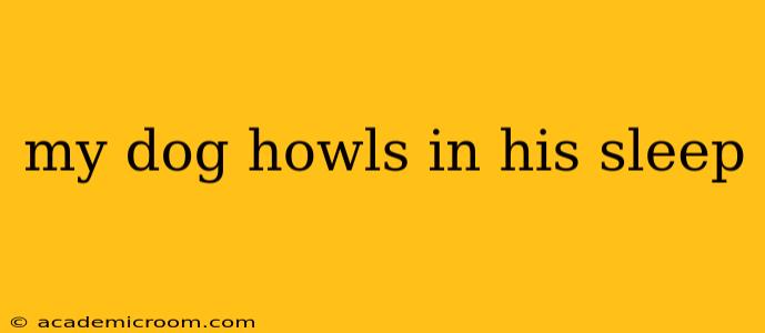 my dog howls in his sleep