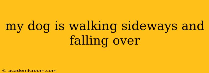 my dog is walking sideways and falling over