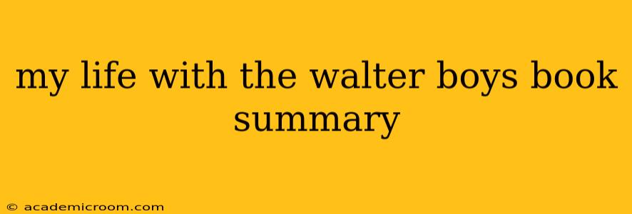 my life with the walter boys book summary