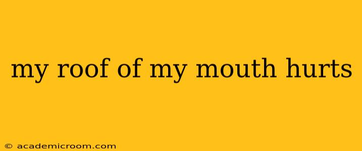 my roof of my mouth hurts