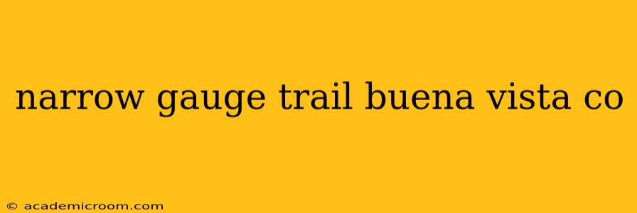 narrow gauge trail buena vista co