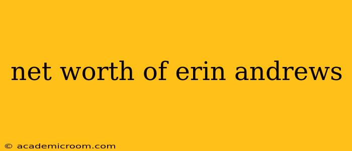 net worth of erin andrews