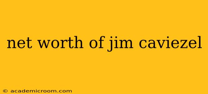 net worth of jim caviezel