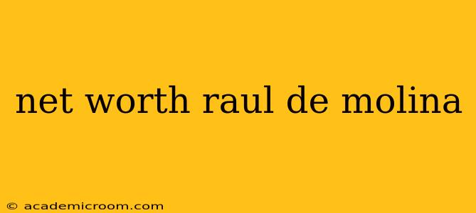 net worth raul de molina