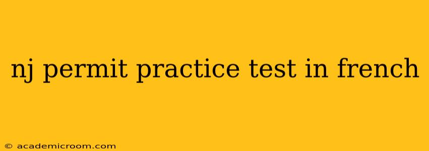 nj permit practice test in french