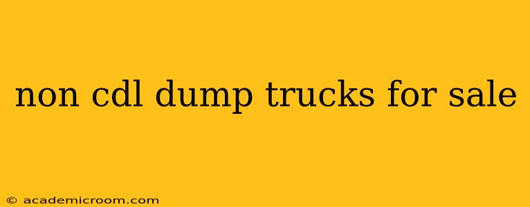 non cdl dump trucks for sale