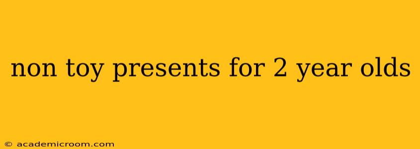 non toy presents for 2 year olds