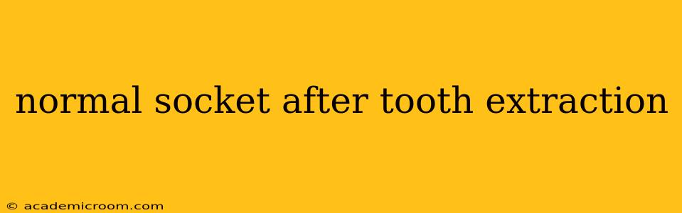 normal socket after tooth extraction