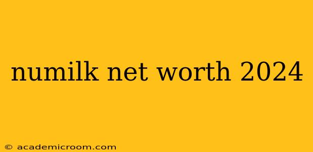 numilk net worth 2024
