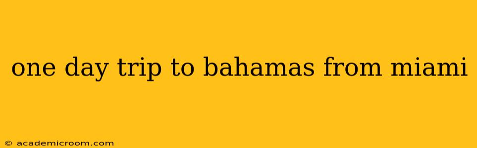 one day trip to bahamas from miami