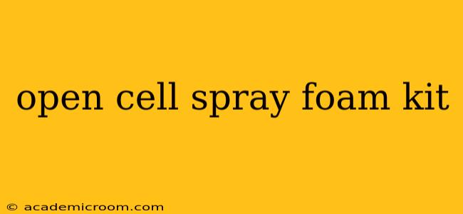 open cell spray foam kit