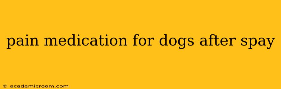 pain medication for dogs after spay