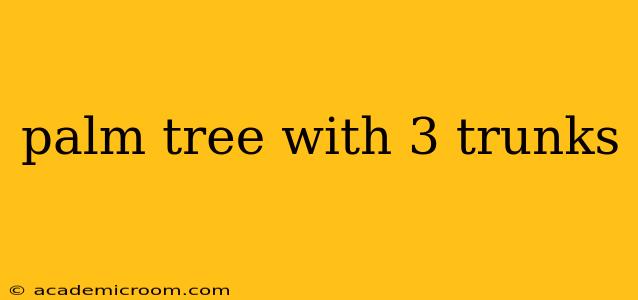 palm tree with 3 trunks