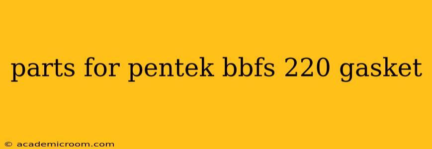 parts for pentek bbfs 220 gasket