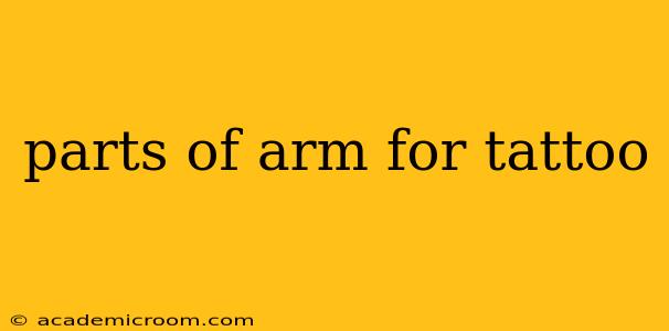 parts of arm for tattoo
