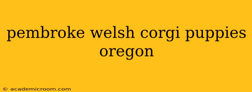pembroke welsh corgi puppies oregon