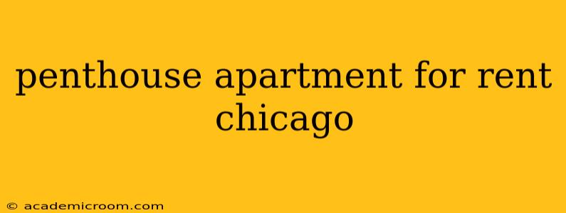 penthouse apartment for rent chicago