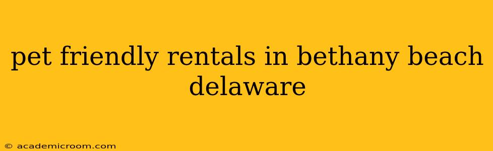 pet friendly rentals in bethany beach delaware