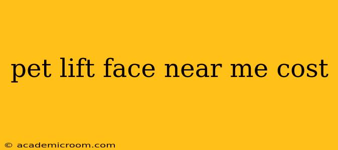 pet lift face near me cost