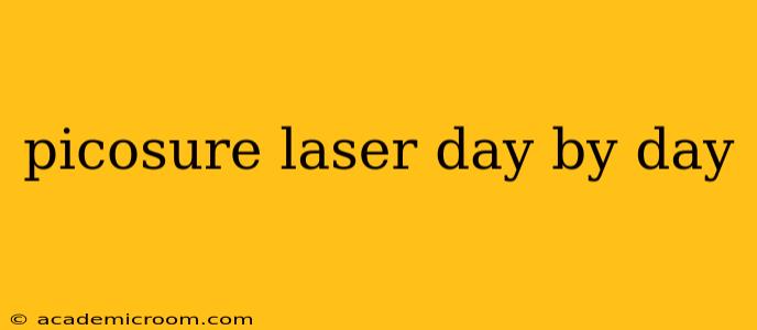 picosure laser day by day