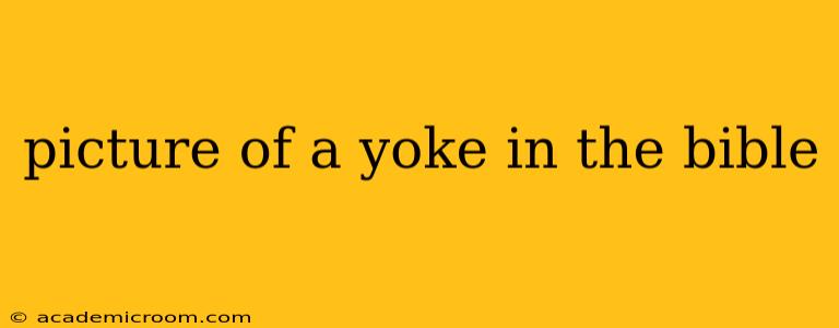 picture of a yoke in the bible