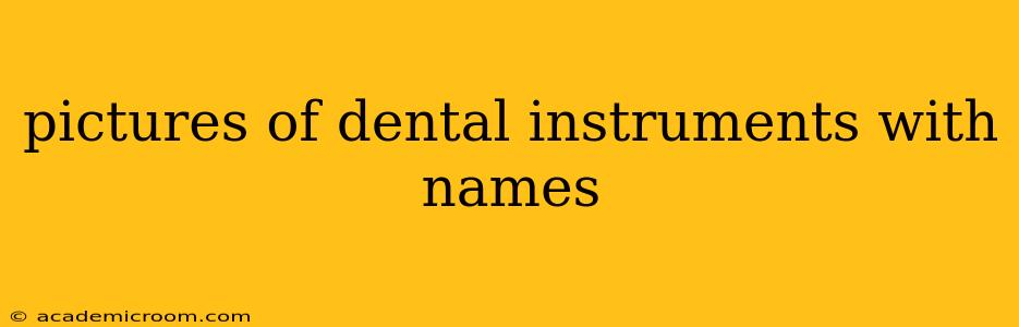 pictures of dental instruments with names
