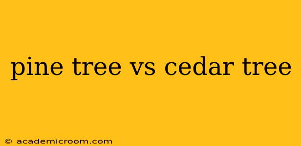 pine tree vs cedar tree