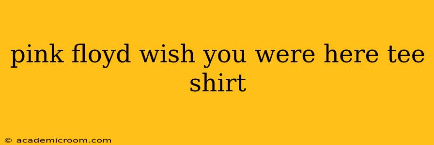 pink floyd wish you were here tee shirt
