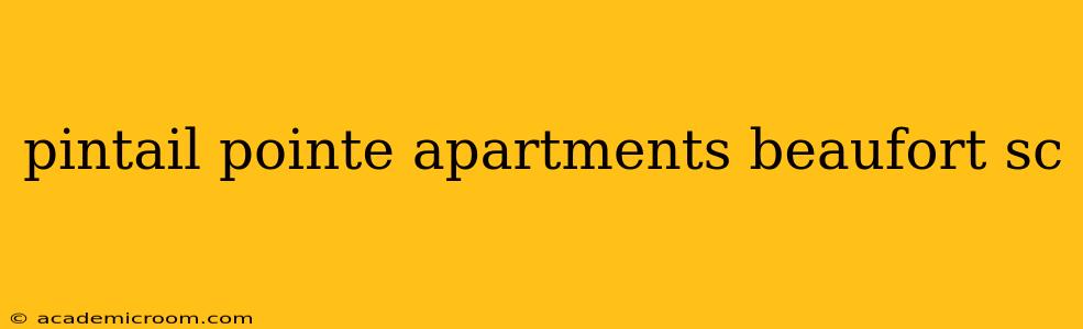 pintail pointe apartments beaufort sc