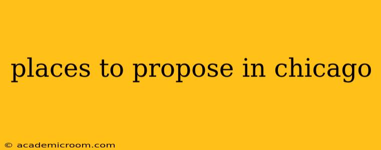 places to propose in chicago