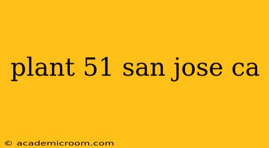 plant 51 san jose ca
