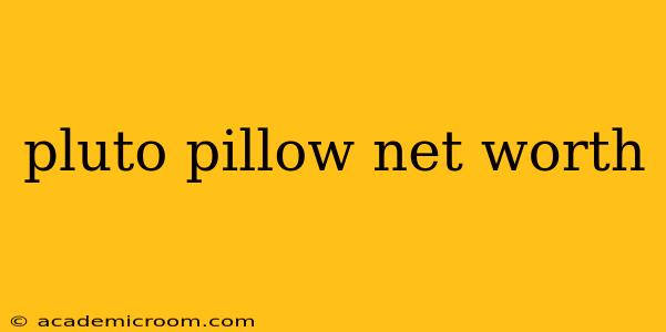 pluto pillow net worth
