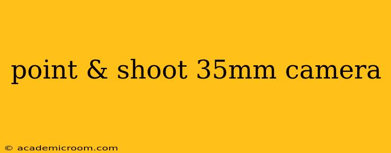 point & shoot 35mm camera