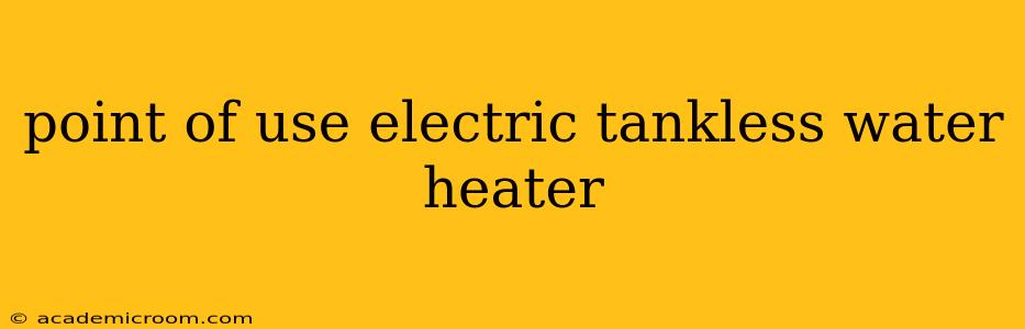 point of use electric tankless water heater