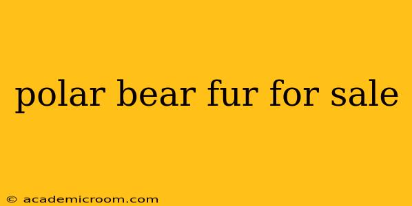 polar bear fur for sale