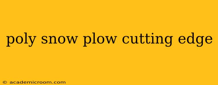 poly snow plow cutting edge