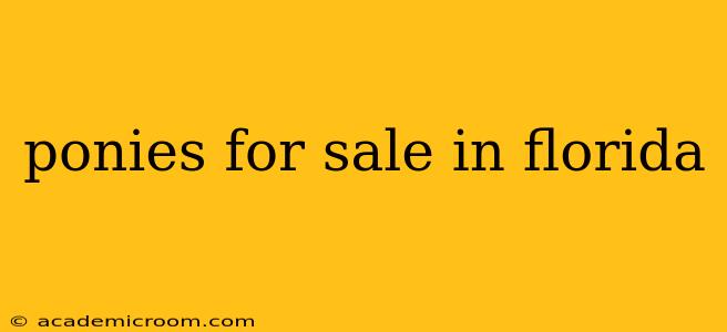 ponies for sale in florida