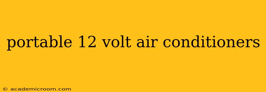 portable 12 volt air conditioners
